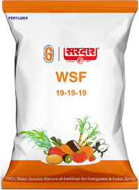 Water Soluble Fertilizers