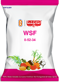 Water Soluble Fertilizers