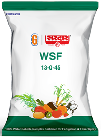 Water Soluble Fertilizers