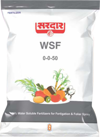 Water Soluble Fertilizers