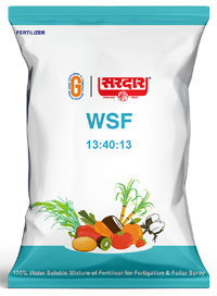 Water Soluble Fertilizers