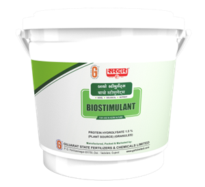 Protein Hydrolysate Granules Protein Hydrolysate Granules