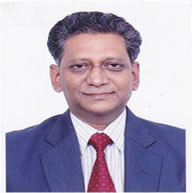 Senior Executives