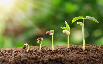 Agro Development and Agro Services Agro Development and Agro Services