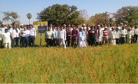 Crop Demonstrations