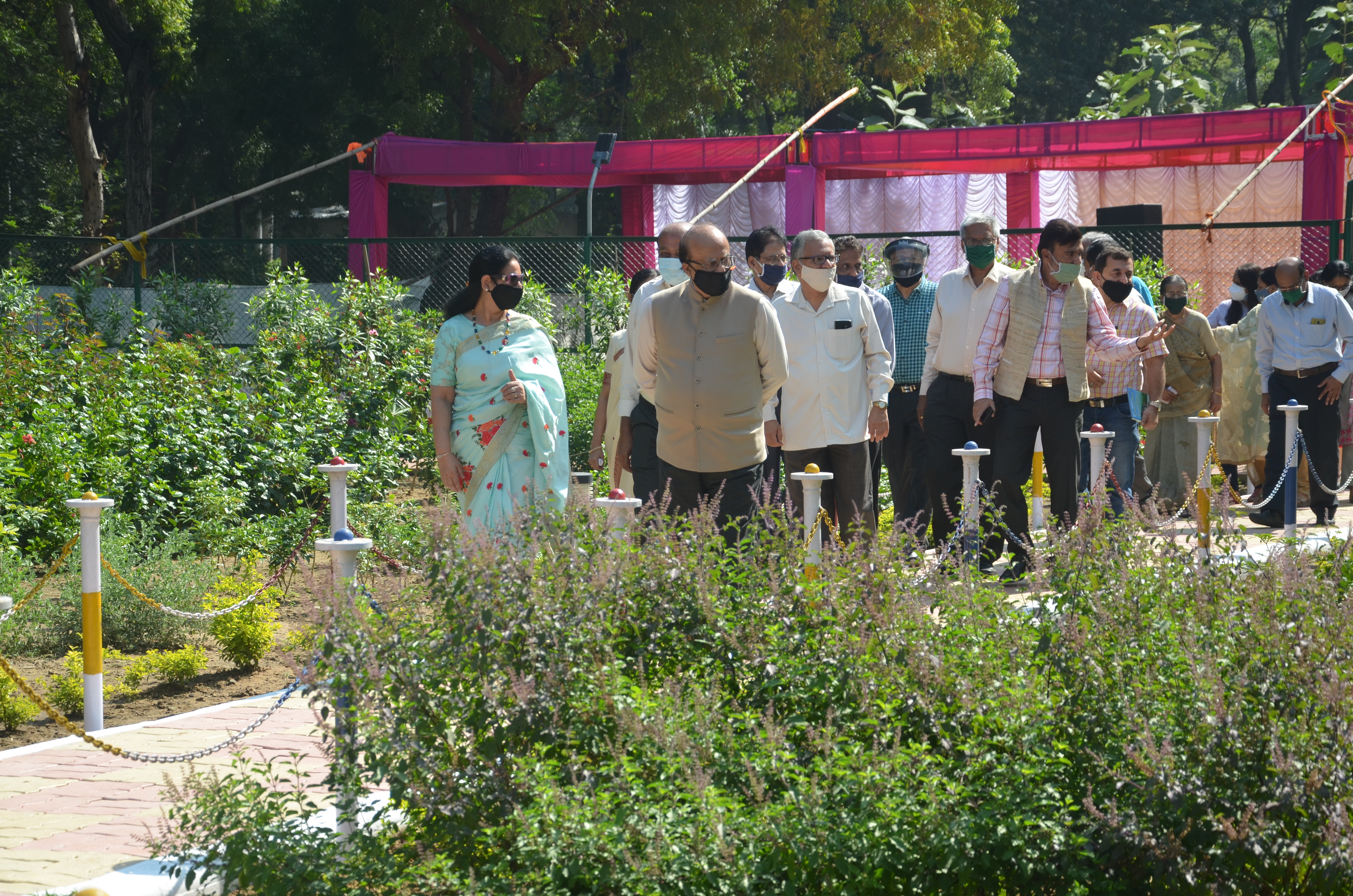 Butterfly Garden