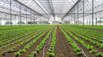 Micro Irrigation