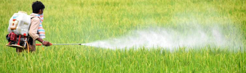 Pesticides Pesticides